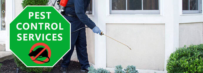 Professional Pest Control Blue Mountain Heights