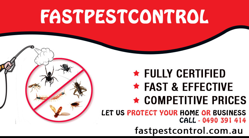 Pest Control Prices