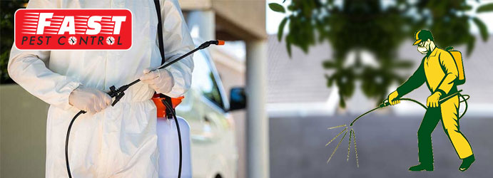 Pest Control South Guildford