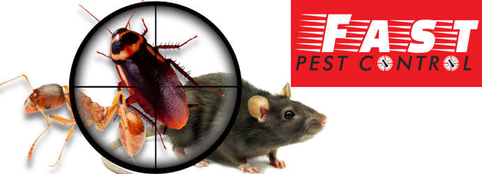 Pest Control Eganstown
