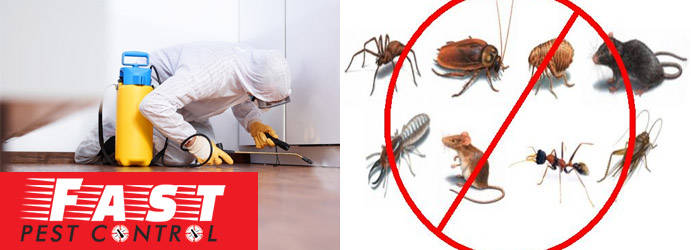 Professional Pest Control Services Goldfields West End