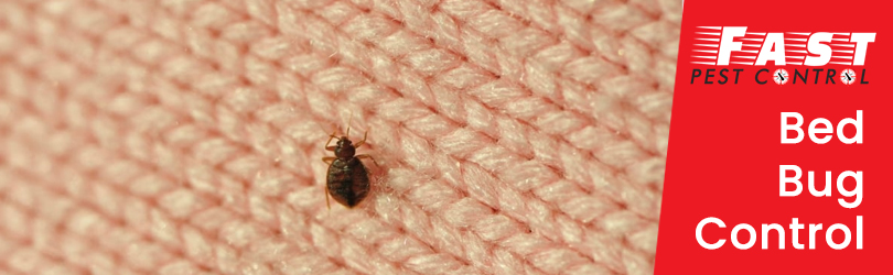 Bed Bug Control Valley Heights