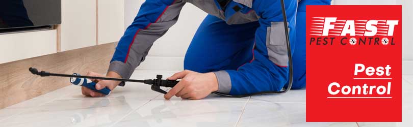Pest Control Darling Heights