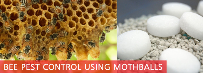 Bee Pest Control Using Mothballs