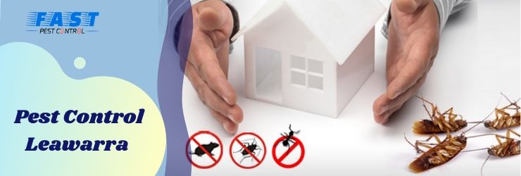 Pest Control Leawarra
