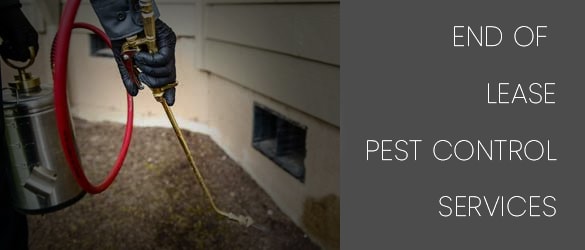 End Of Lease Pest Control Services
