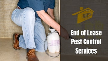 End Of Lease Pest Control Services