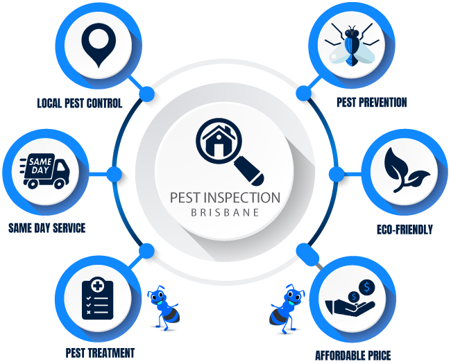 Pest Control Barkers Vale