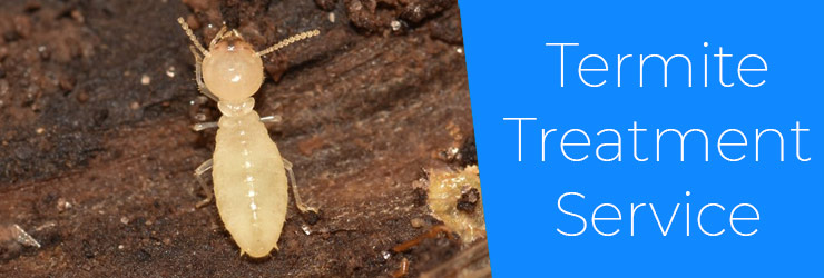 Termite Treatment Gilberton