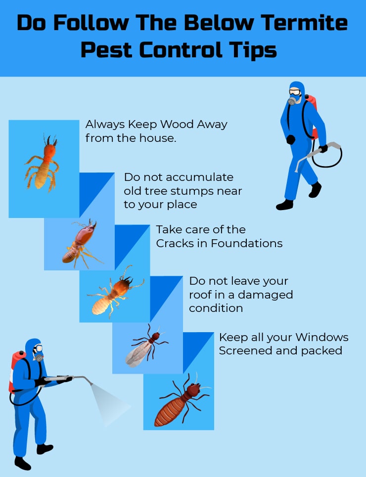 Termite Pest Control Services