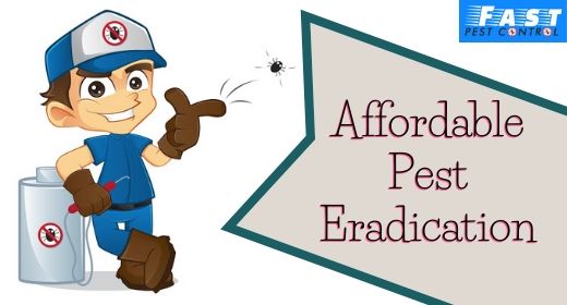 Cost Effective And Excellent Pest Control
