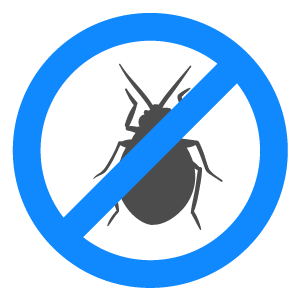 Bed Bugs Control Brisbane
