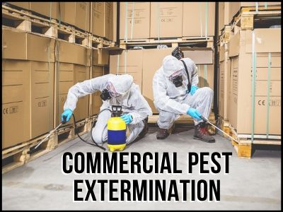 Commercial Pest Control Services