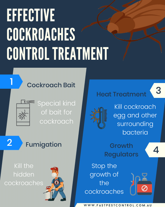 Effective Cockroaches Control Treatment