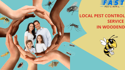 Local-pest-control-service-in-Woodend