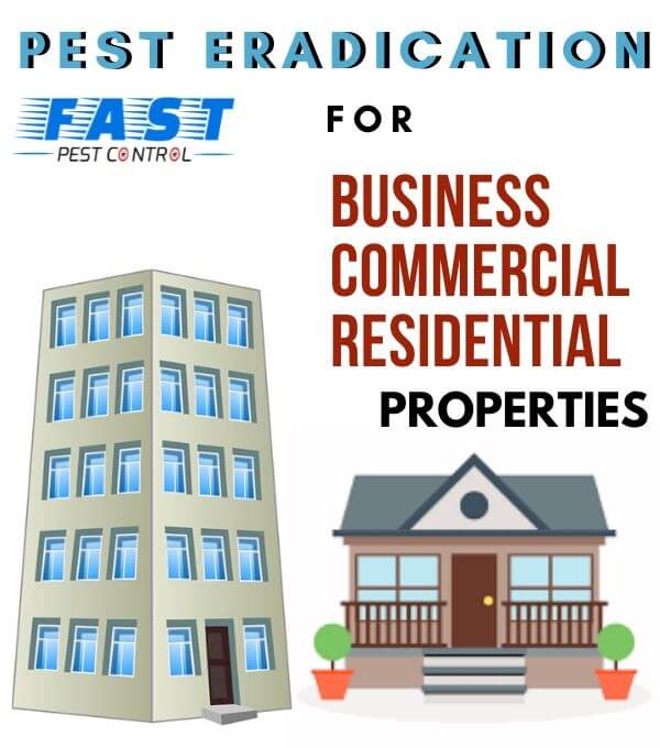 pest control commercial & residential 