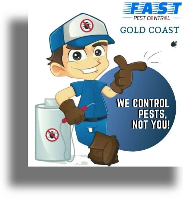 pest control gold coast