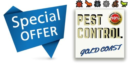 pest control special offer
