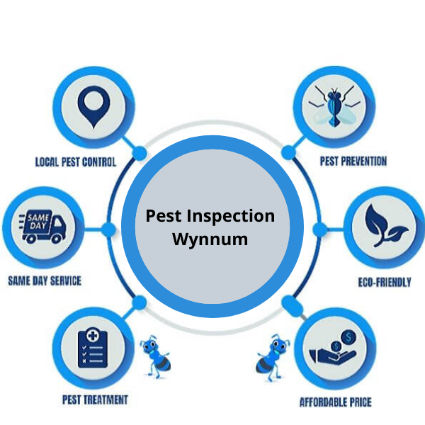 Pest control Wynnum