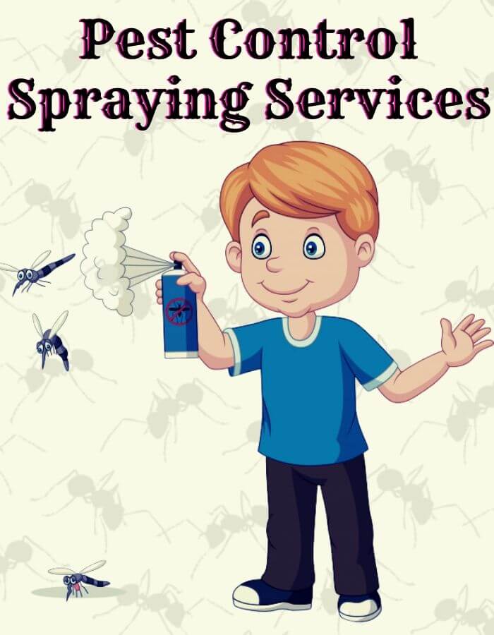 Spraying Pest Control Pimpama