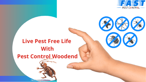 Pest-free-life-in-woodend