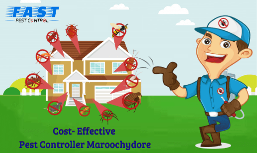 Cost-Effective Pest Controller
