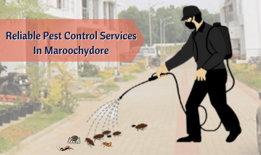 Reliable Pest Control Maroochydore