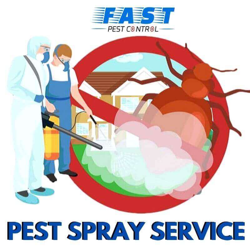 Pest control spray service