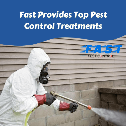 top pest control treatments
