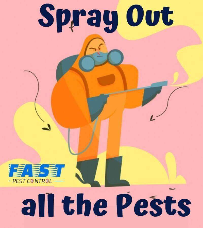 Pest control Spray Service