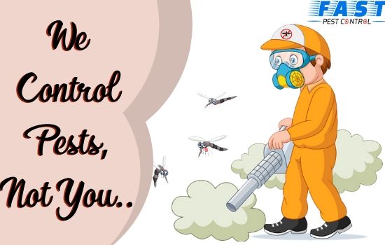 Local Pest Control Services