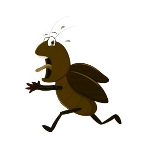 cockroach control melbourne