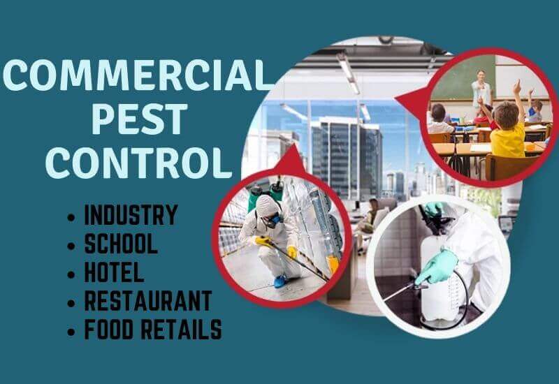 Commercial pest control Kangaroo Point