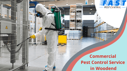 commercial-pest-control-service-in-woodend
