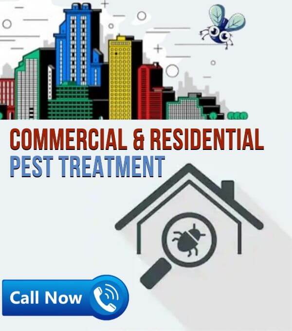 commercial & residential pest control