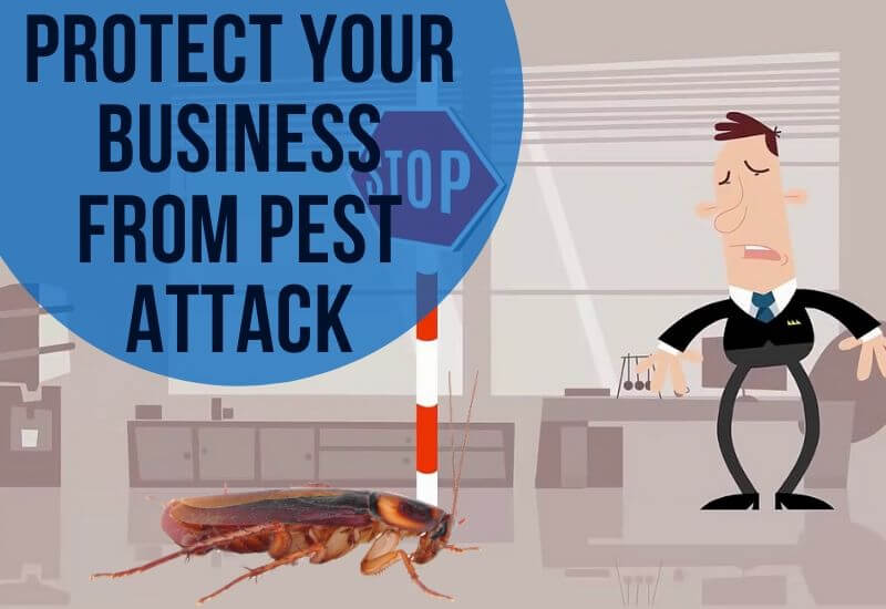 Commercial pest control