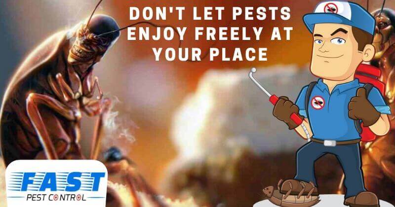 Effective pest control service
