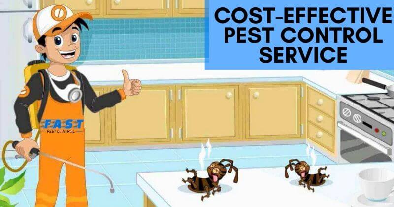 Cost-effective pest control service