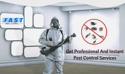 cost effective pest control