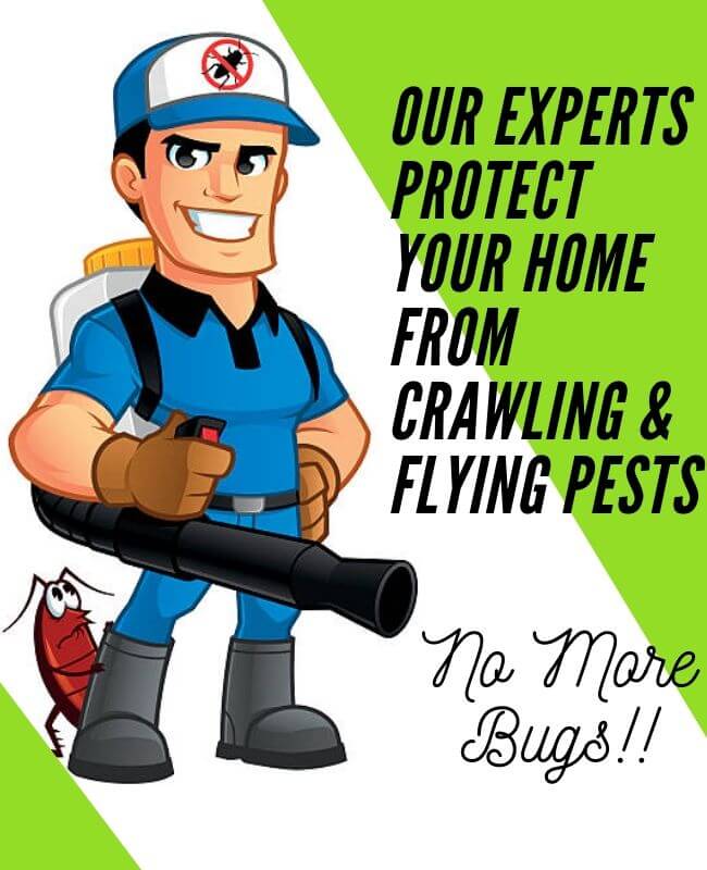  Pest Control Services