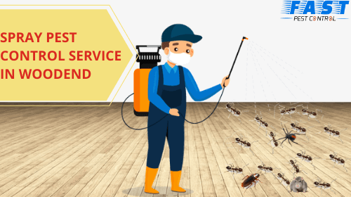 spray-pest-control-service-in-Woodend