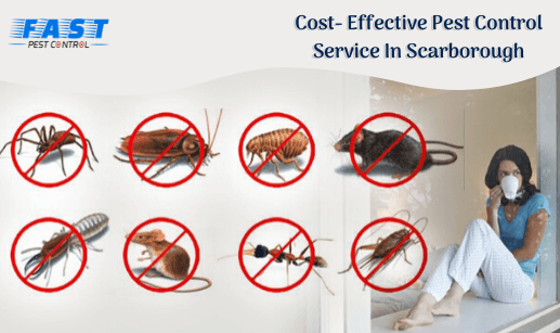 Cost effective pest control services