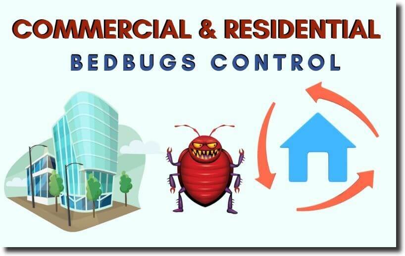 commercial & residential bedbugs control