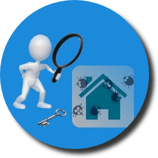 Pre Purchase Pest Inspection Adelaide