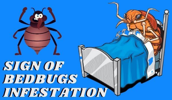 sign of bedbug infestation