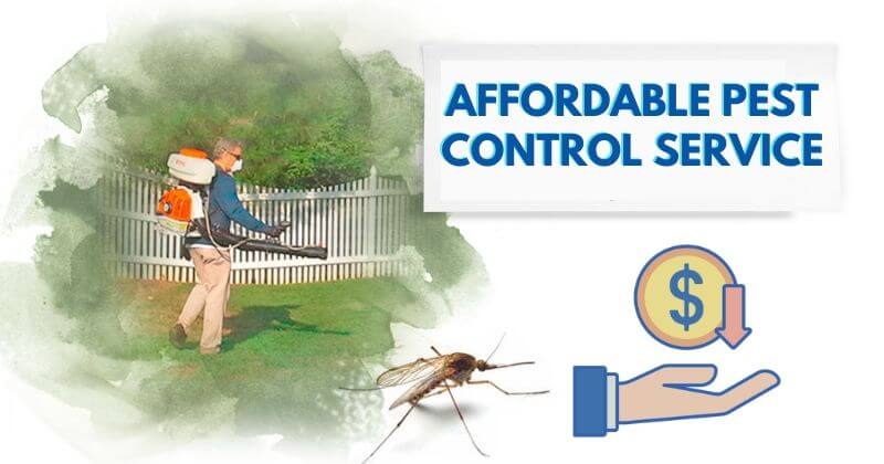 Affordable pest control