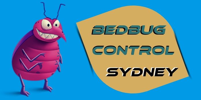bedbug control sydney