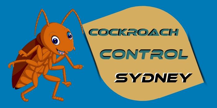 cockroach control sydney