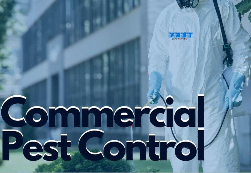 Commercial pest control Red Hill