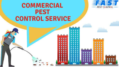 fast commercial pest control service